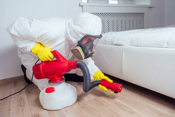 Professional Pest Control in Andrews, TX